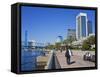 Jacksonville Riverfront, Florida, United States of America, North America-Richard Cummins-Framed Stretched Canvas