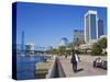 Jacksonville Riverfront, Florida, United States of America, North America-Richard Cummins-Stretched Canvas