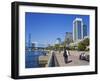 Jacksonville Riverfront, Florida, United States of America, North America-Richard Cummins-Framed Photographic Print