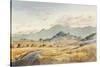 Jacksonville Road-LaVere Hutchings-Stretched Canvas