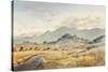 Jacksonville Road-LaVere Hutchings-Stretched Canvas