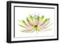 Black Frame