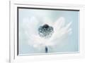Gramercy White