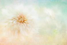 Purity-Jacky Parker-Giclee Print