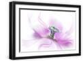 Black Frame