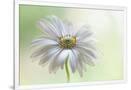 Gramercy White