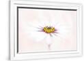Gramercy White