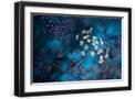 Black Frame