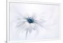 Gramercy White
