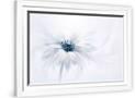 Gramercy White