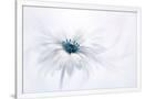 Gramercy White