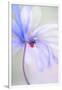 Gramercy White