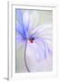 Gramercy White