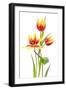 Black Frame