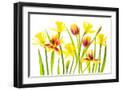 Black Frame