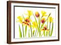 Brown Frame