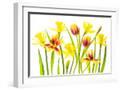 White Frame