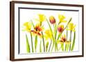 Chelsea Espresso