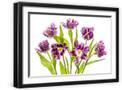 Black Frame