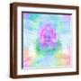 Brown Frame