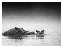 The Look Back-Jaco Marx-Photographic Print