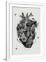 Gramercy White