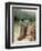 Jacob and the angel at Peniel - Bible-William Brassey Hole-Framed Premium Giclee Print