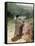 Jacob and the angel at Peniel - Bible-William Brassey Hole-Framed Stretched Canvas