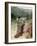 Jacob and the angel at Peniel - Bible-William Brassey Hole-Framed Giclee Print