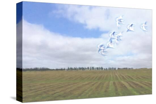 Stretched Canvas Print, , large