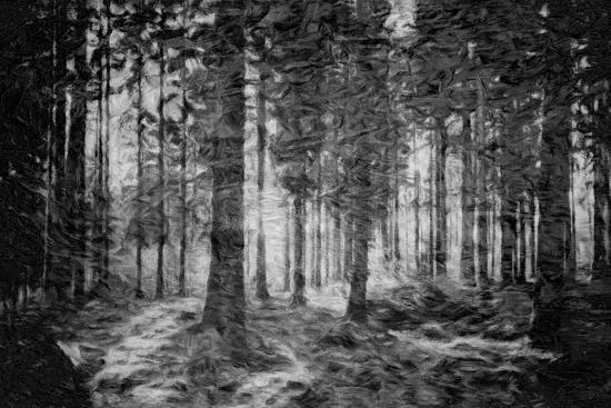 Photographic Print, , large