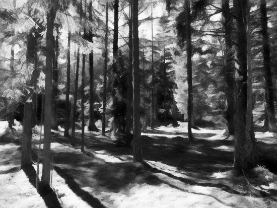 Photographic Print, , large
