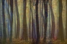 Twilight Of Autumn-Jacob Berghoef-Photographic Print