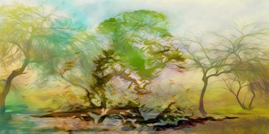 Photographic Print, , large