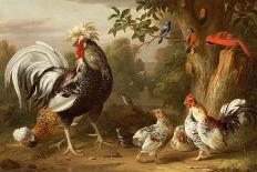 Poultry and Other Birds in the Garden of a Mansion-Jacob Bogdany-Framed Giclee Print