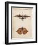 Jacob Degen's "Flapping Wings" Design-null-Framed Art Print