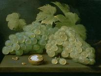 Grapes with Half a Walnut-Jacob Foppens Van Es-Framed Stretched Canvas