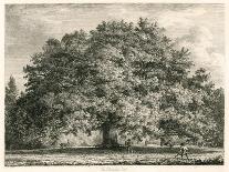 The Cedar in the Palace Garden at Enfield, Middlesex-Jacob George Strutt-Mounted Giclee Print