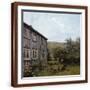 Brown Frame