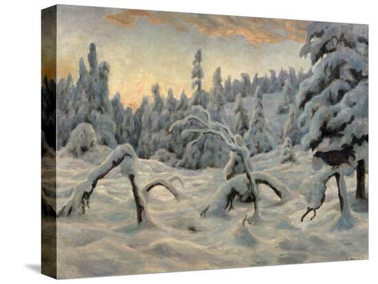 Stretched Canvas Print, , large