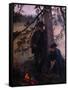 Canvas Black
