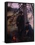 Canvas Black