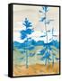 Canvas Black