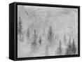 Canvas Black