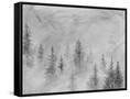 Canvas Black