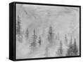 Canvas Black