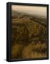 Essential Black