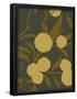 Essential Black
