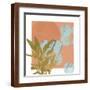 Brown Frame