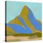 Stretched Canvas